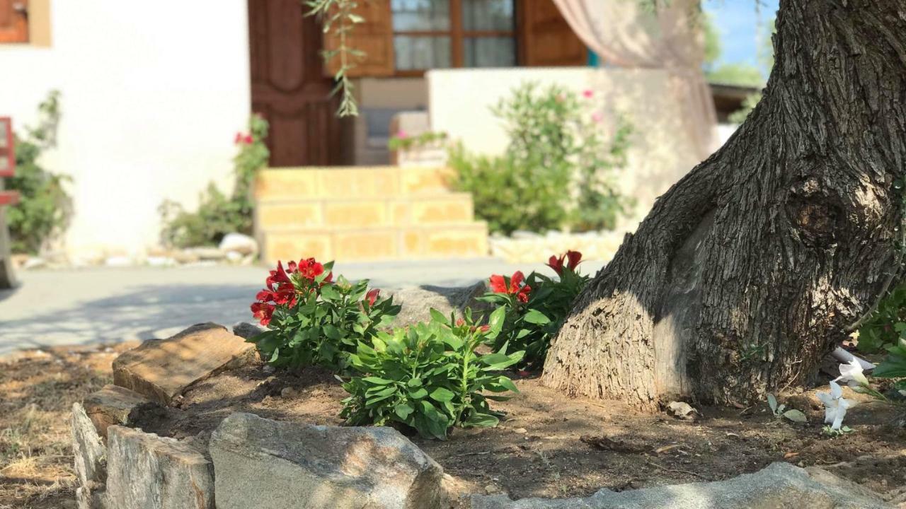 Dream House Villa Alikí 외부 사진